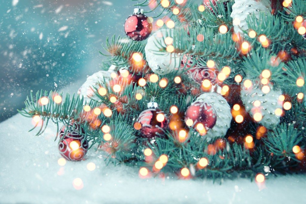 Holiday Lights Arrangement